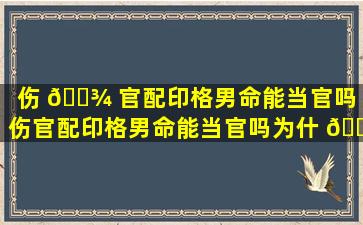 伤 🌾 官配印格男命能当官吗「伤官配印格男命能当官吗为什 🐯 么」